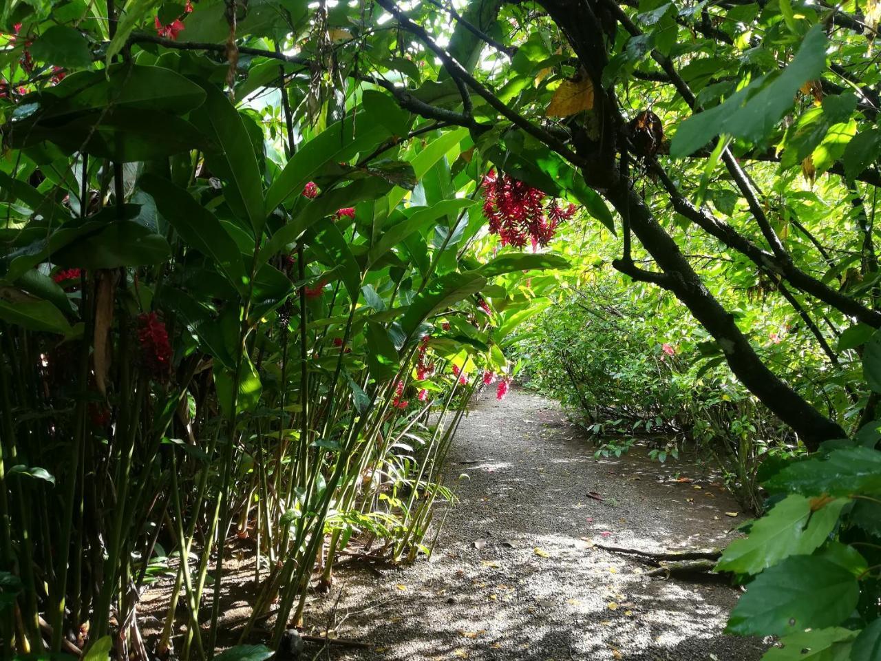 Posada Villamaga El Valle  外观 照片