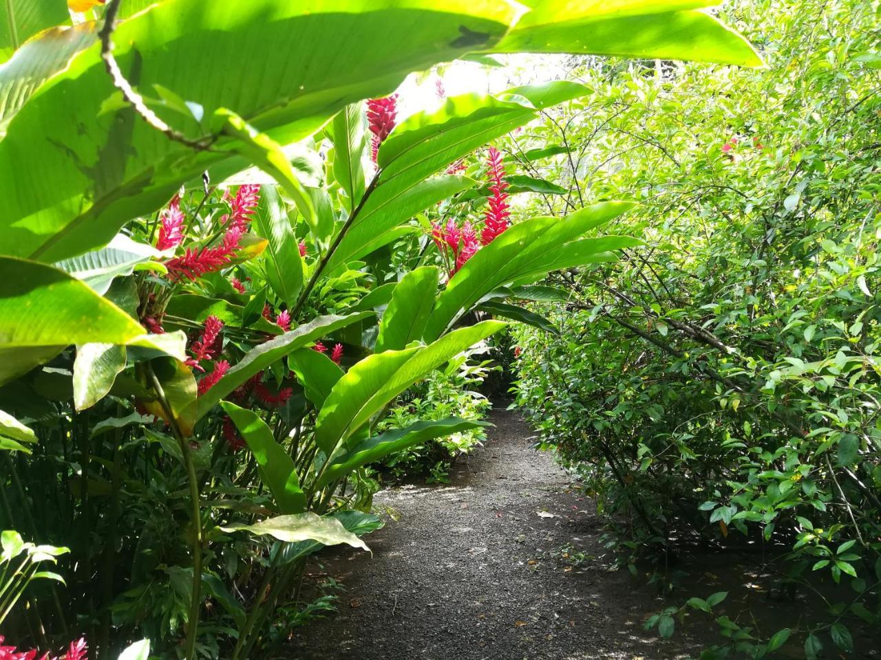 Posada Villamaga El Valle  外观 照片