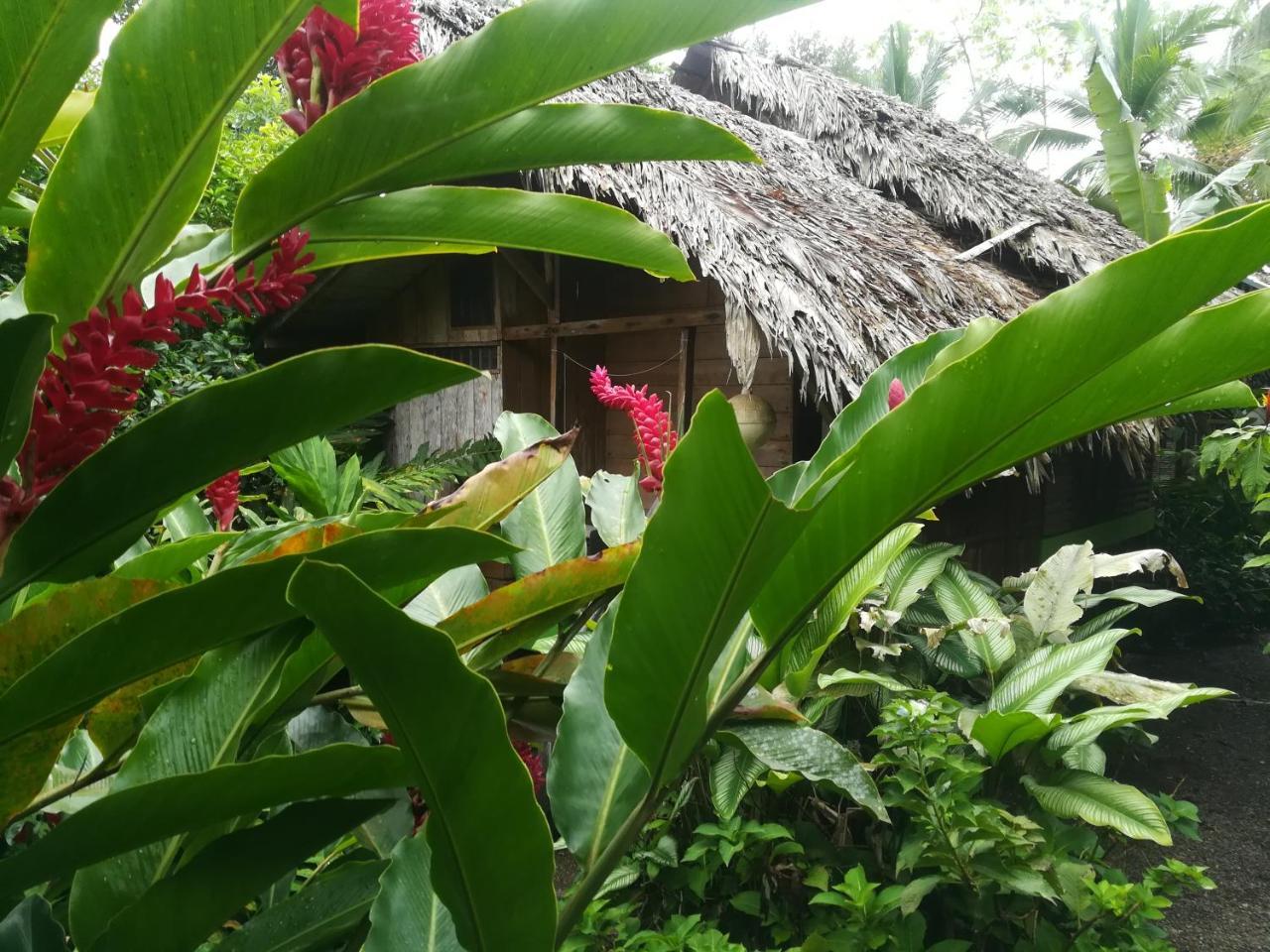 Posada Villamaga El Valle  外观 照片