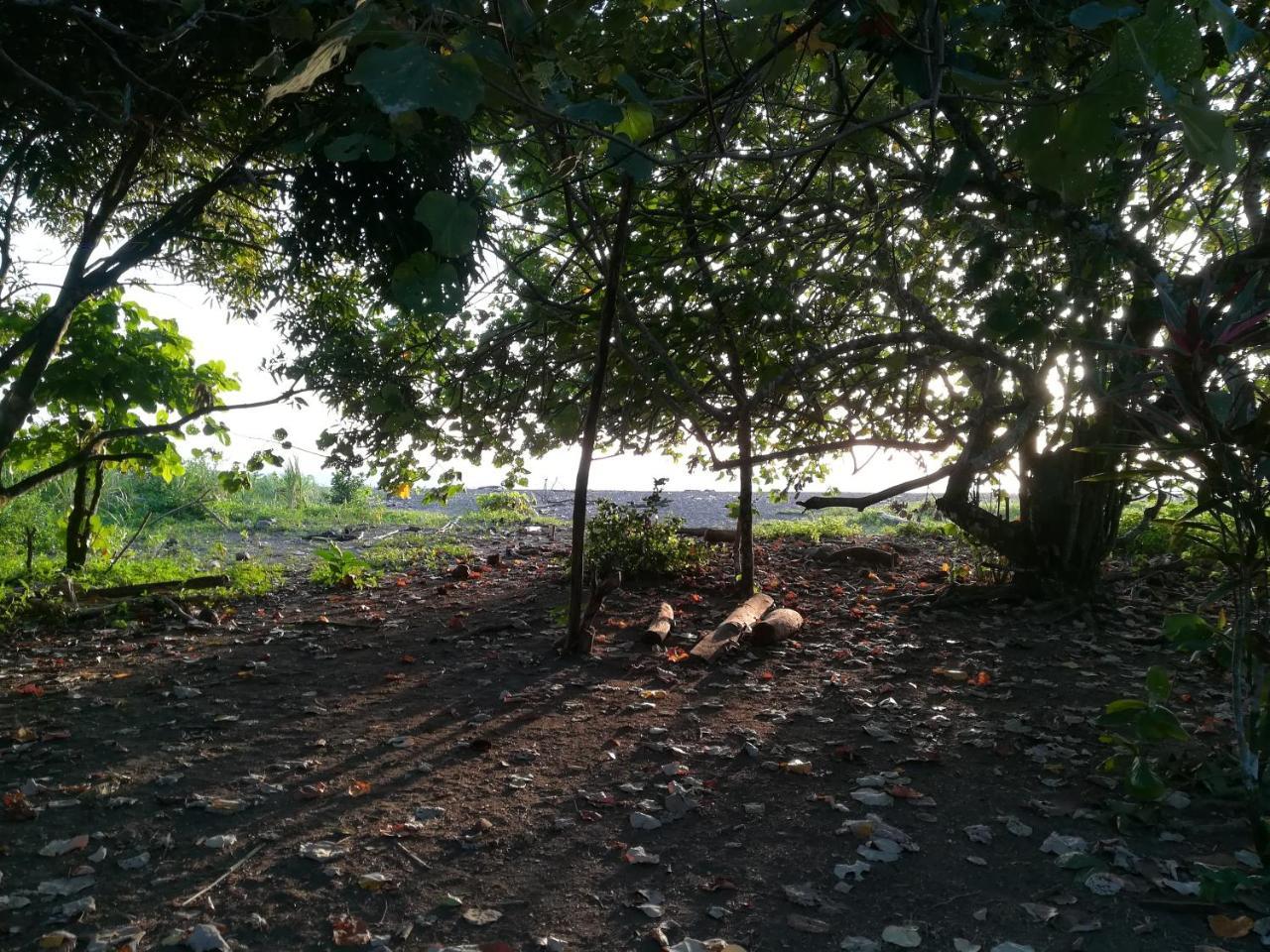 Posada Villamaga El Valle  外观 照片